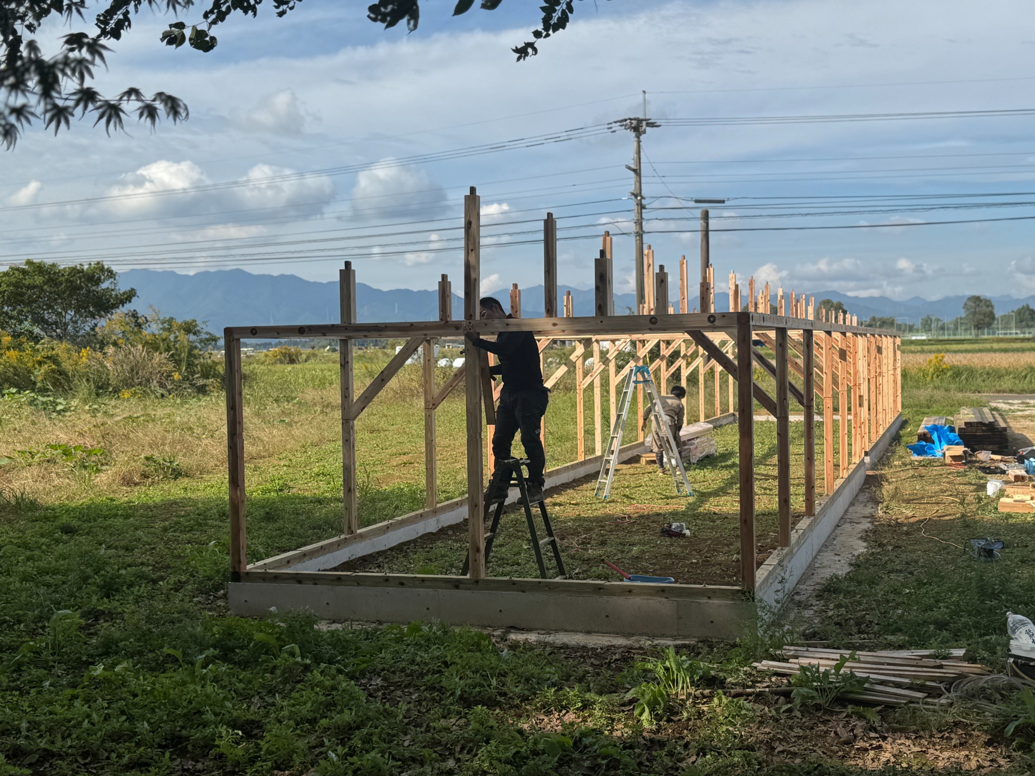 新鶏舎の建設記録