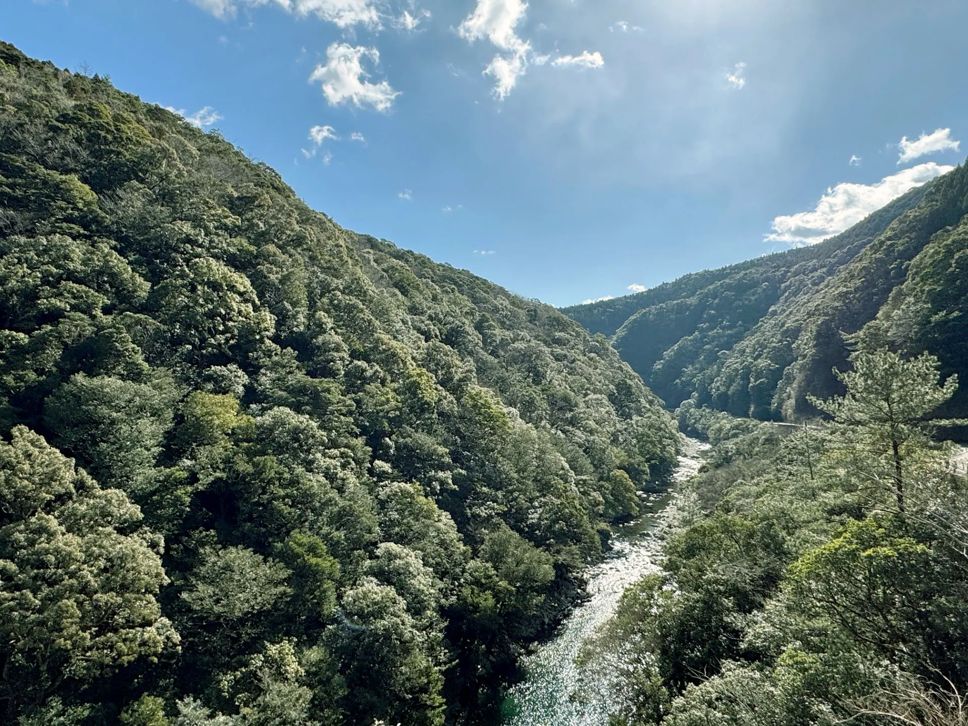 日本最大の綾の照葉樹林の湧き水