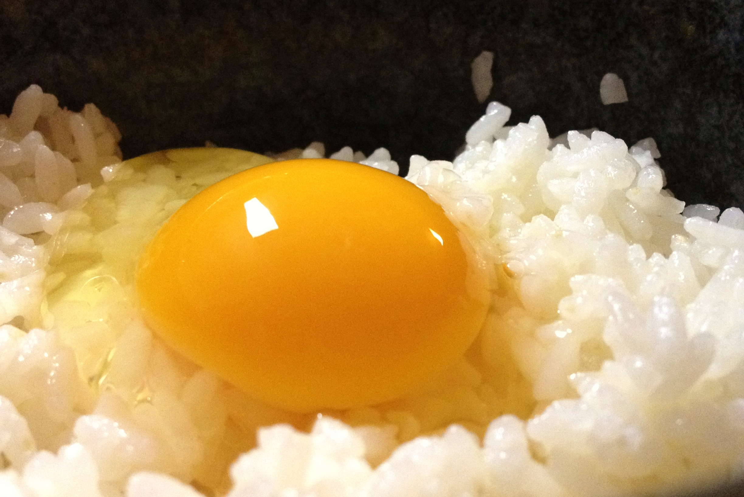 夢幻庵の烏骨鶏 卵かけご飯